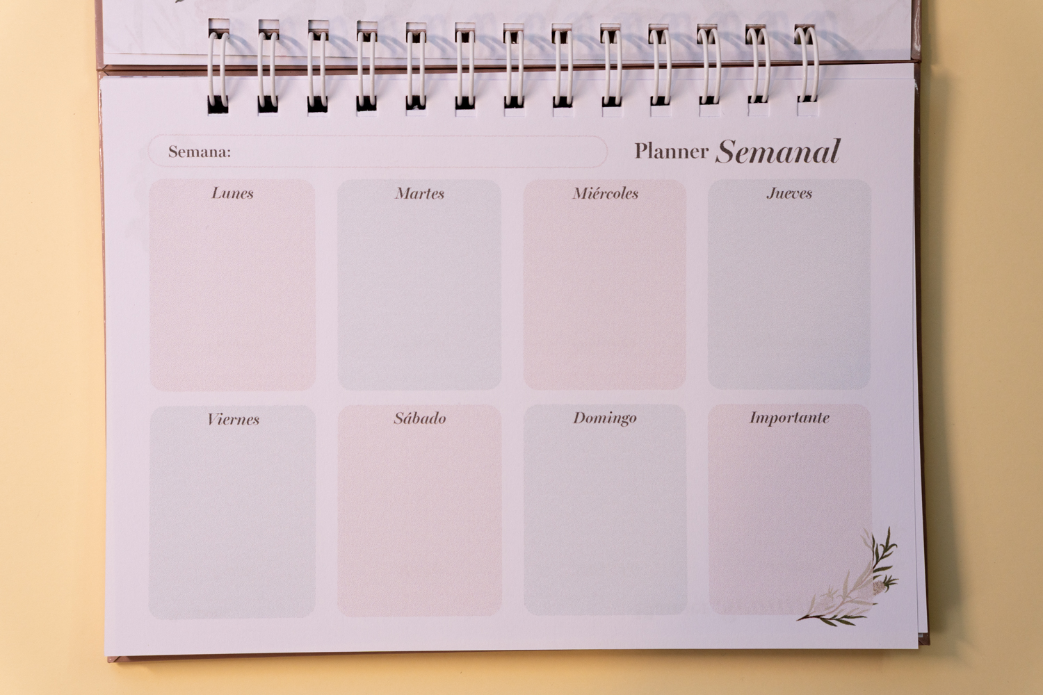 Zorritos Planner 5