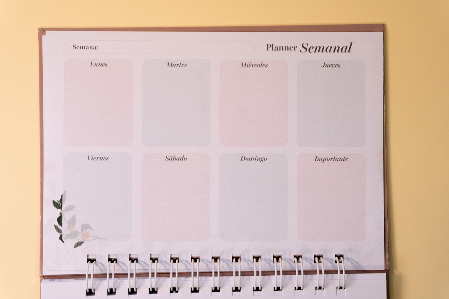 Zorritos Planner 6