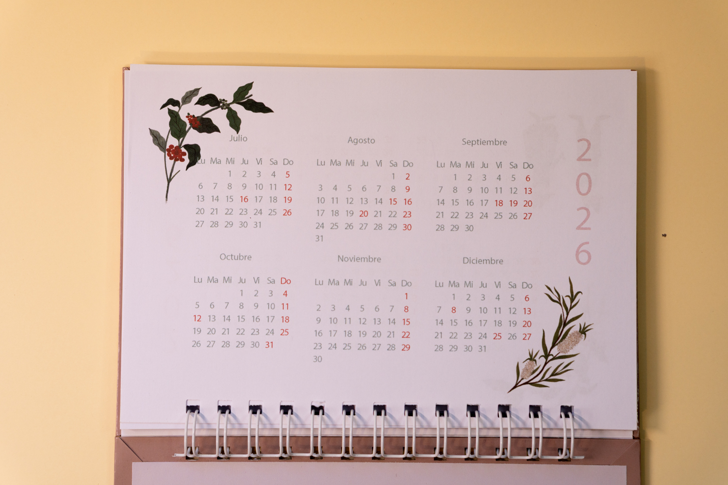 Zorritos Planner 9