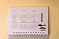 Rayadito Planner - Miniatura 10