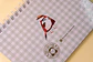 Rayadito Planner - Miniatura 11