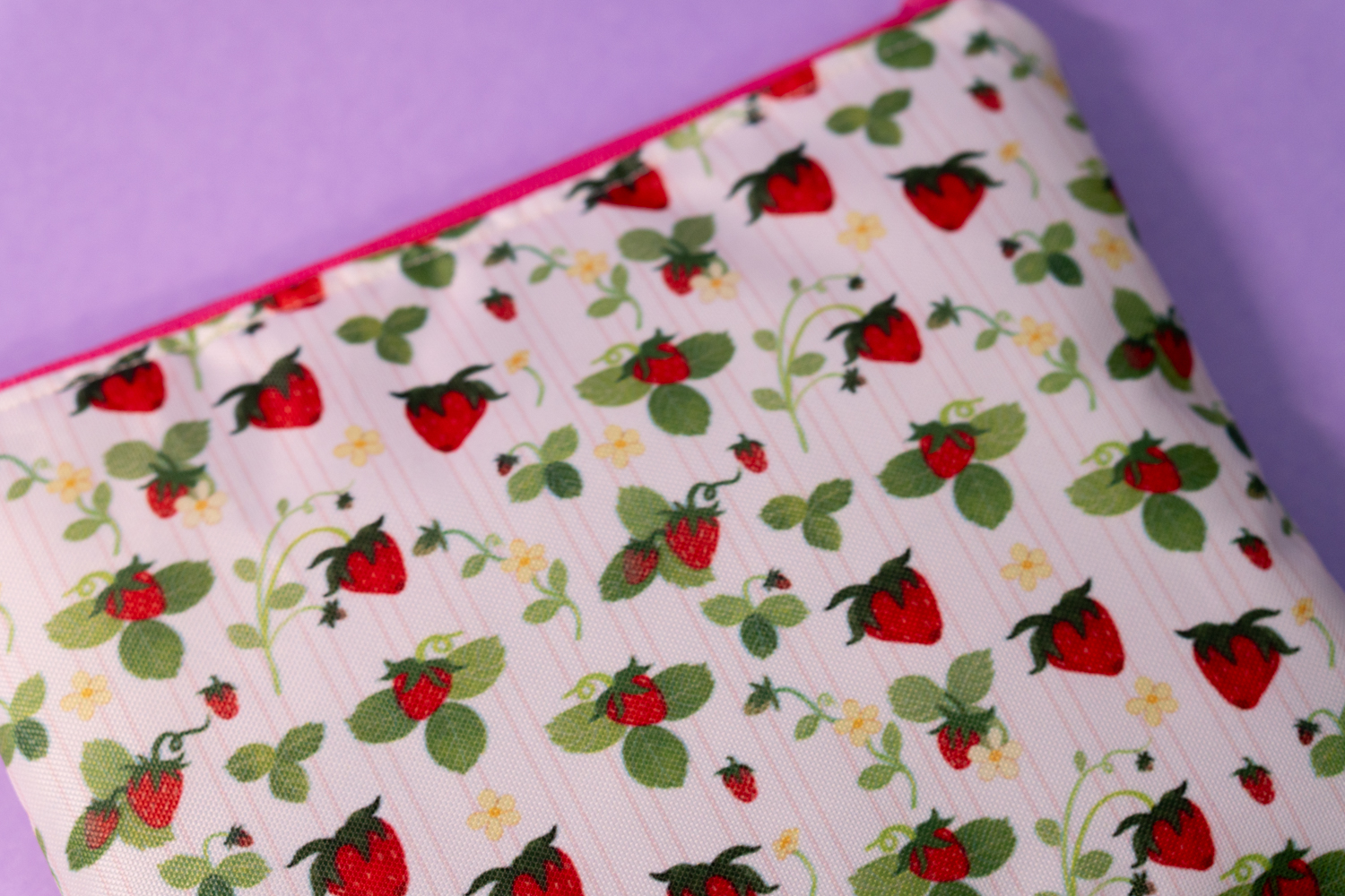 Erizo y frutillas - Estuche 3