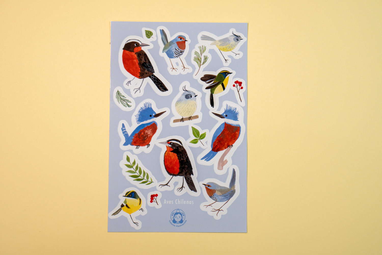 Sticker Aves Chilenas 1