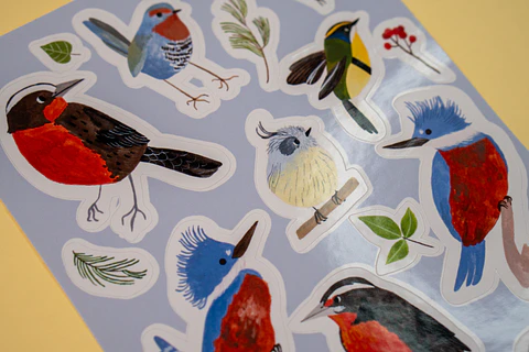 Sticker Aves Chilenas