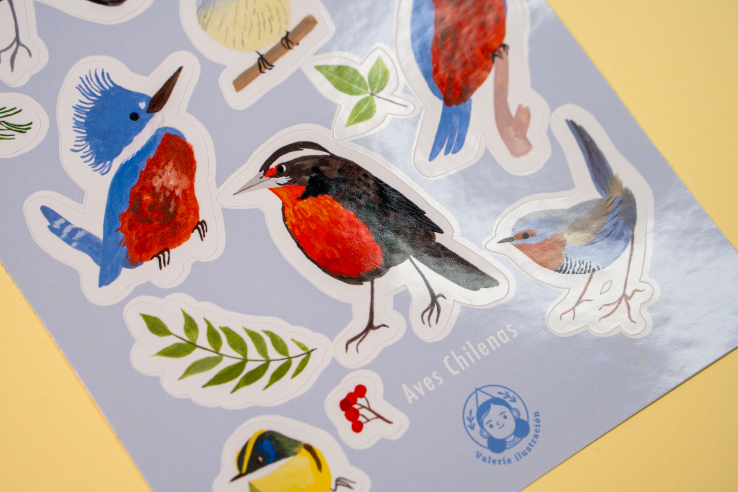 Sticker Aves Chilenas 3