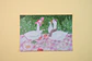 Postal - Gansitos Ingleses - Miniatura 1
