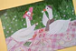 Postal - Gansitos Ingleses - Miniatura 2