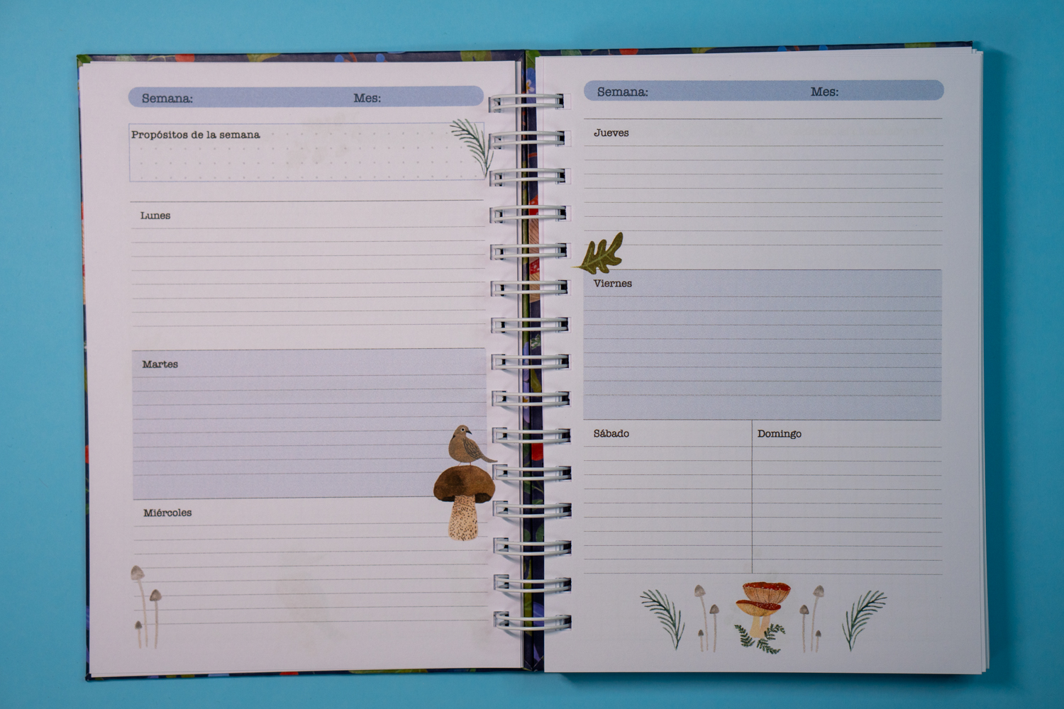 Planner Aves chilenas Azul 5