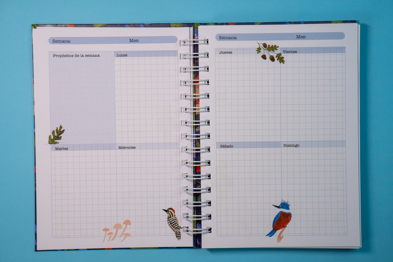 Planner Aves chilenas Azul 7