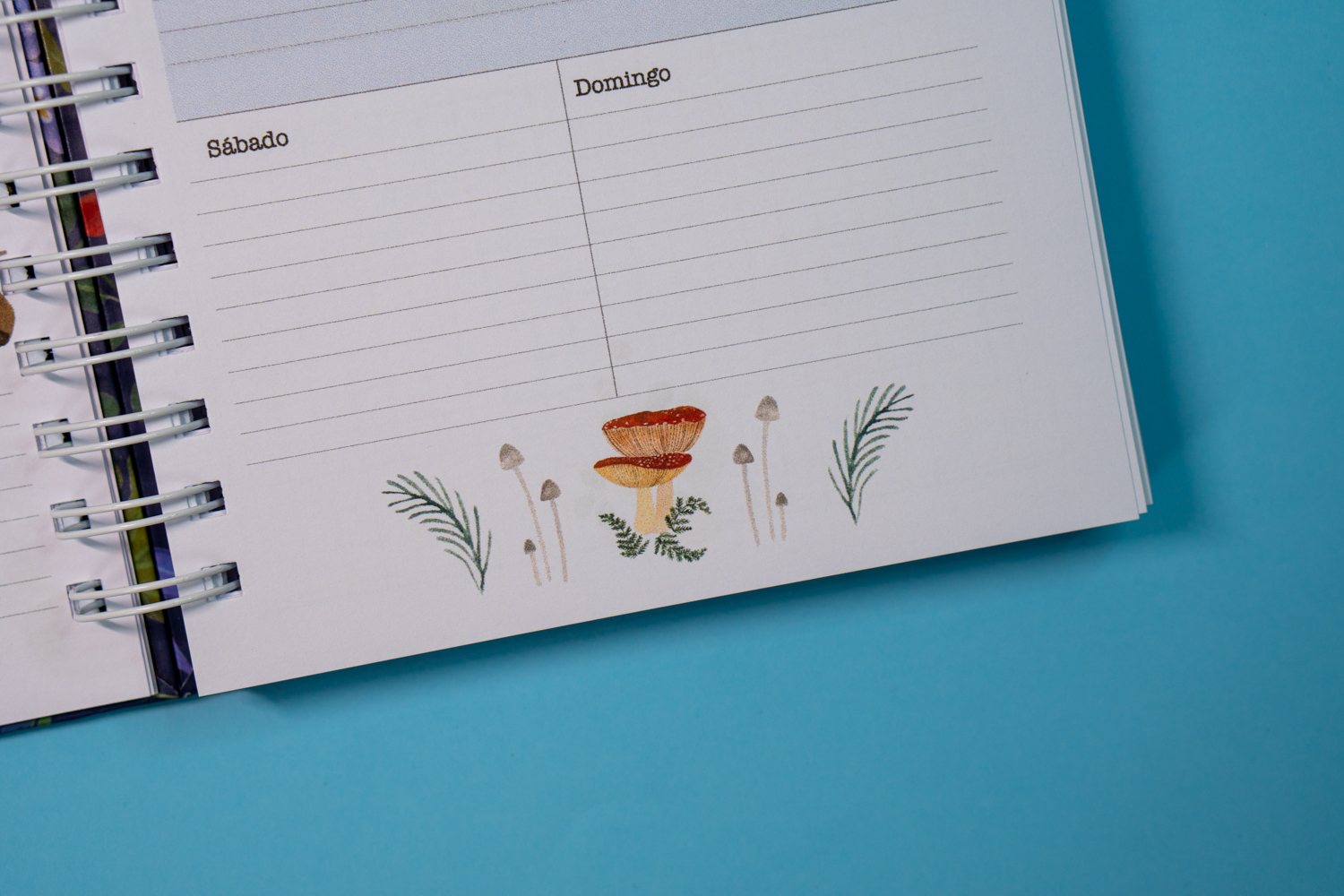 Planner Aves chilenas Azul 6