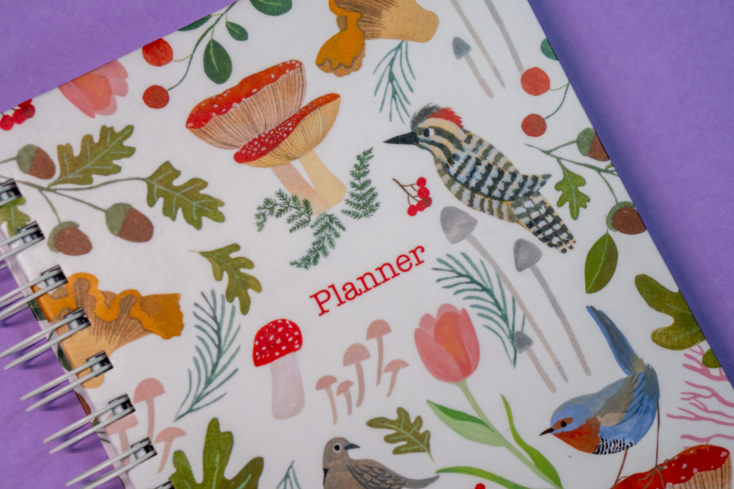 Planner Aves chilenas Rosa 2