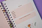 Planner Aves chilenas Rosa - Miniatura 3