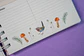 Planner Aves chilenas Rosa - Miniatura 7