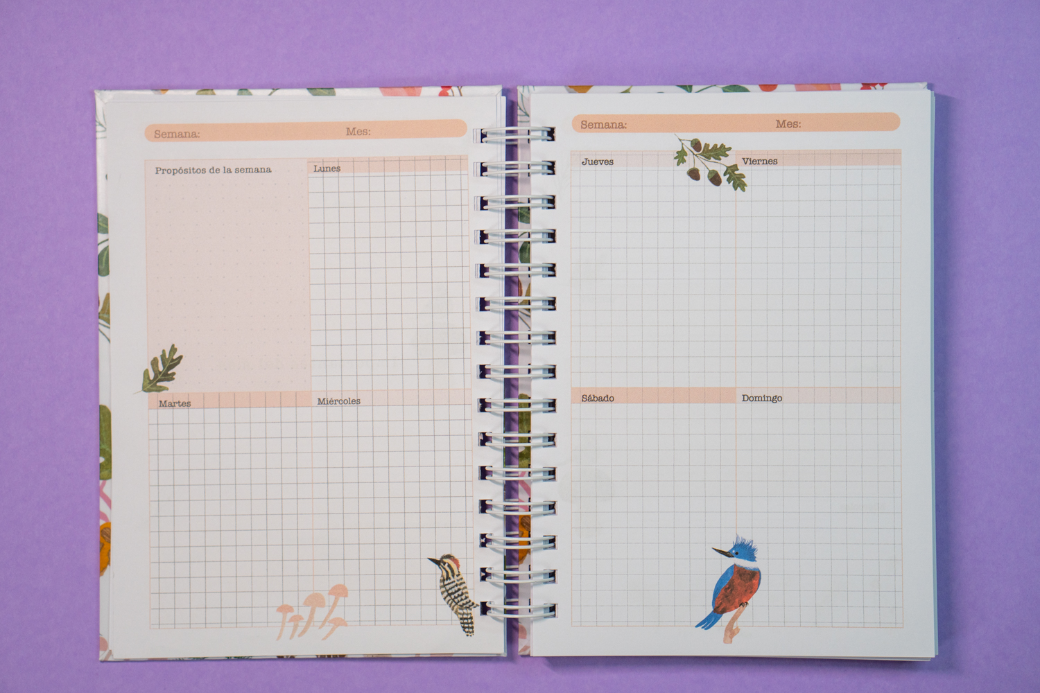 Planner Aves chilenas Rosa 8
