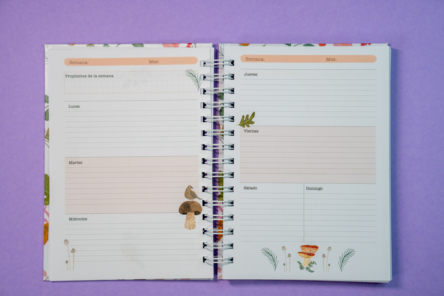 Planner Aves chilenas Rosa 6