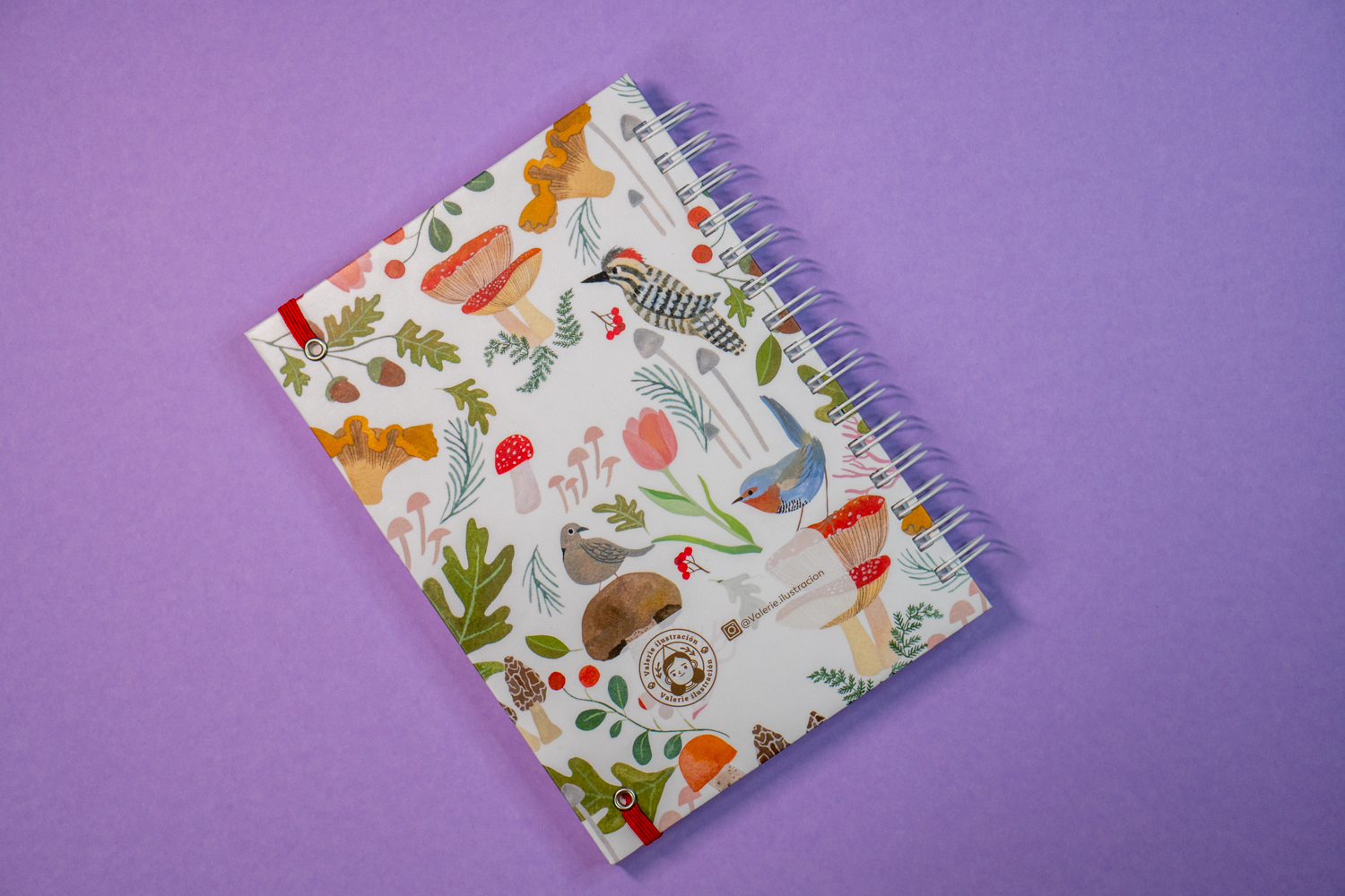 Planner Aves chilenas Rosa 10
