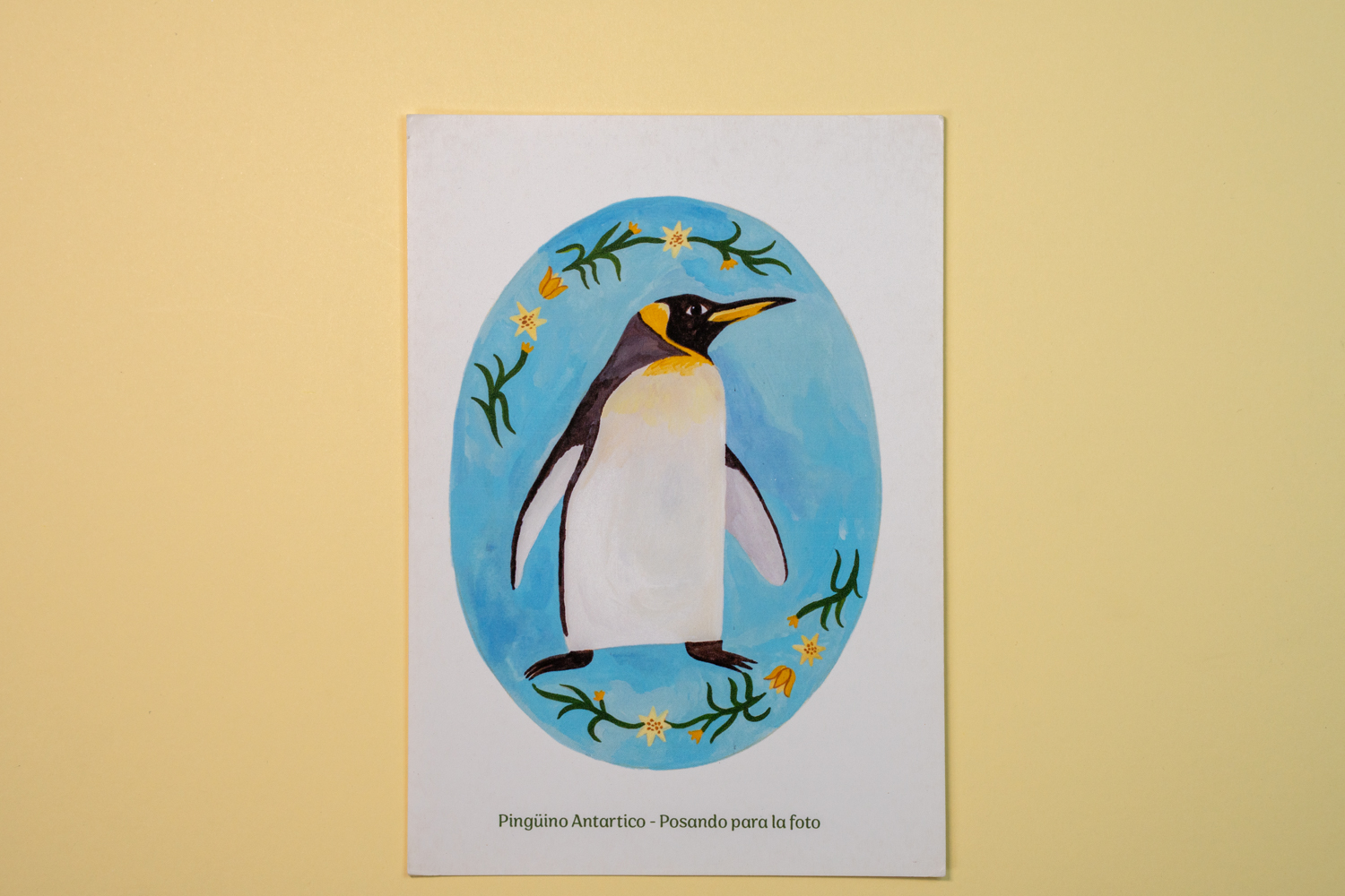 Postal - Pingüino 1