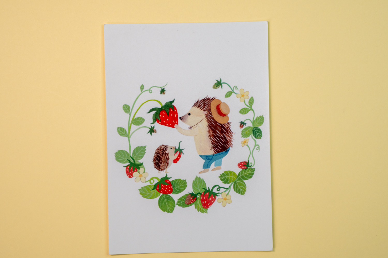 Postal - Erizo y frutillas 1