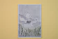 Postal - Lobo y abeja 1 - Miniatura 1