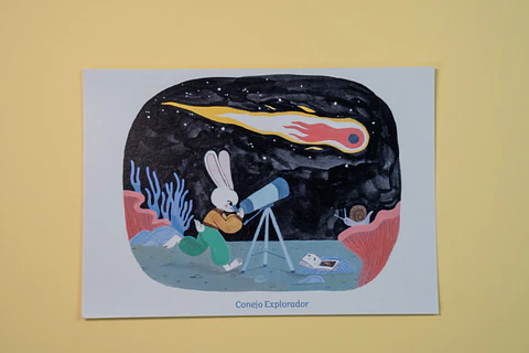 Postal - Conejo Explorador