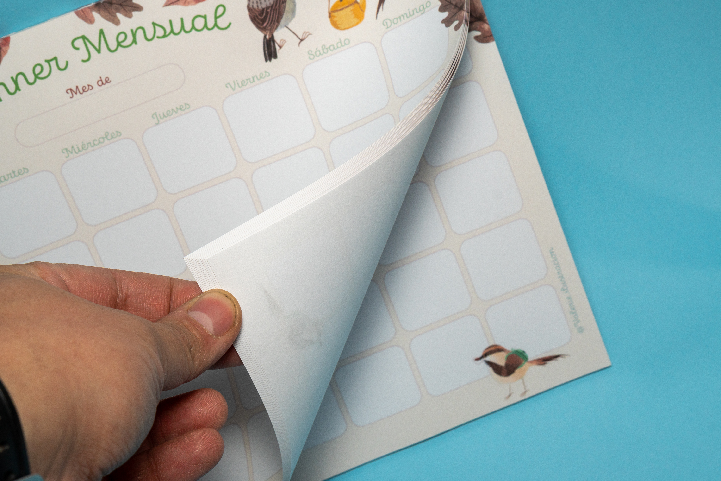 Planner Mensual - Rayadito 2