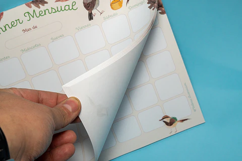 Planner Mensual - Rayadito