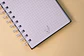 Cuaderno A6 - Loicas - Miniatura 2