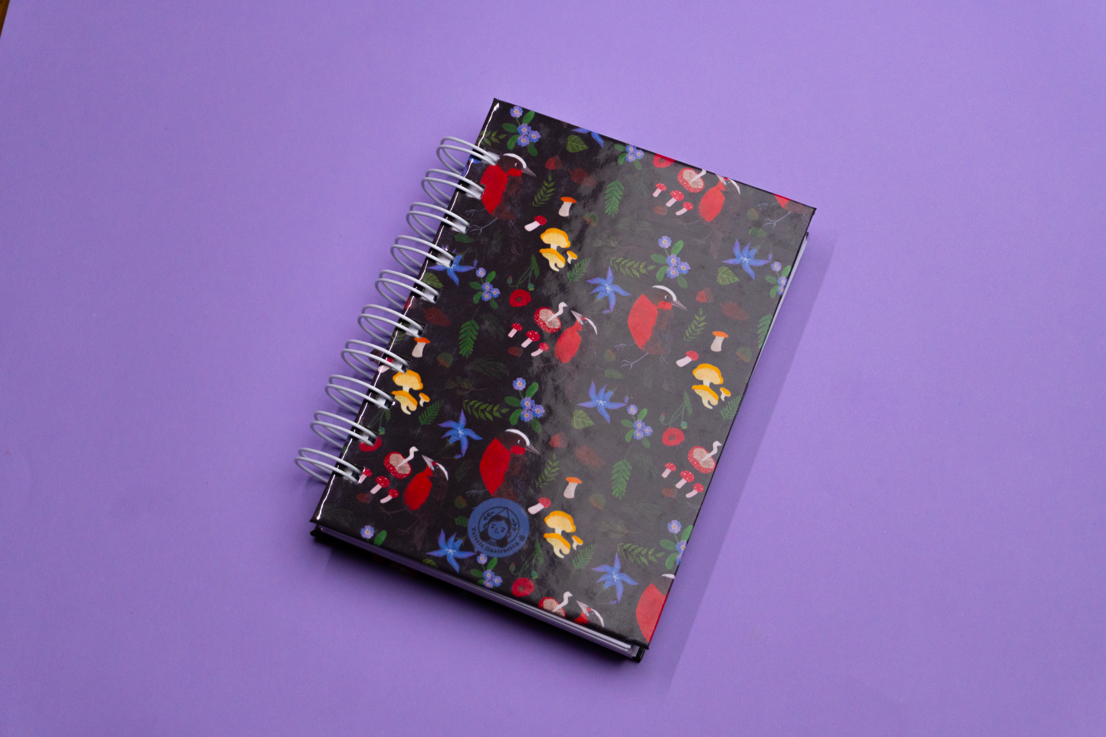 Cuaderno A6 - Loicas 1