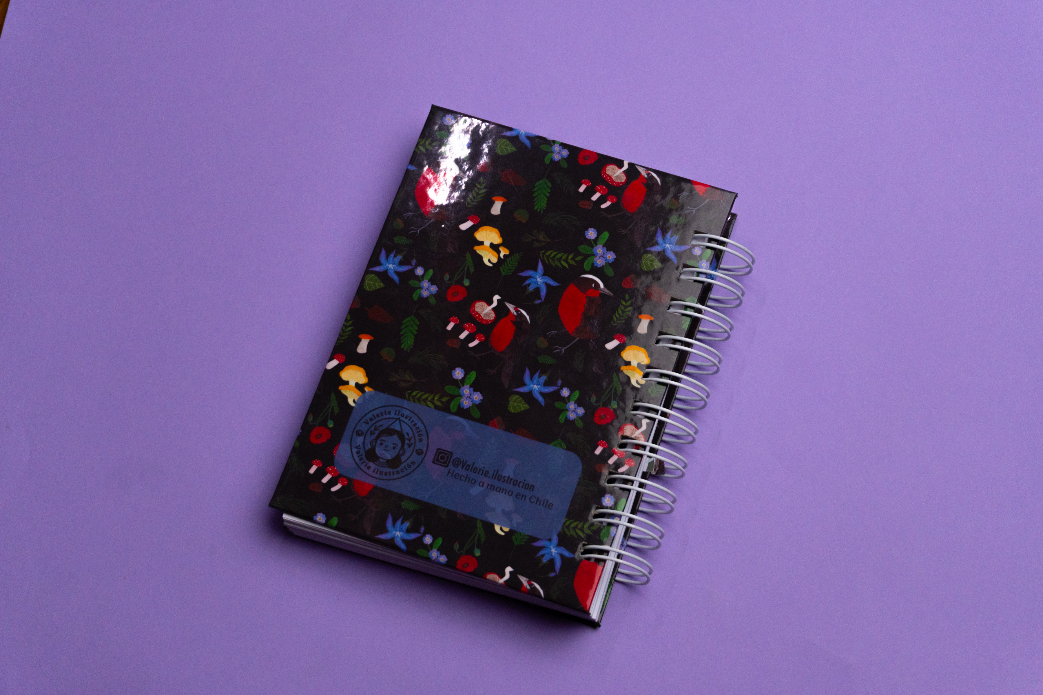 Cuaderno A6 - Loicas 5