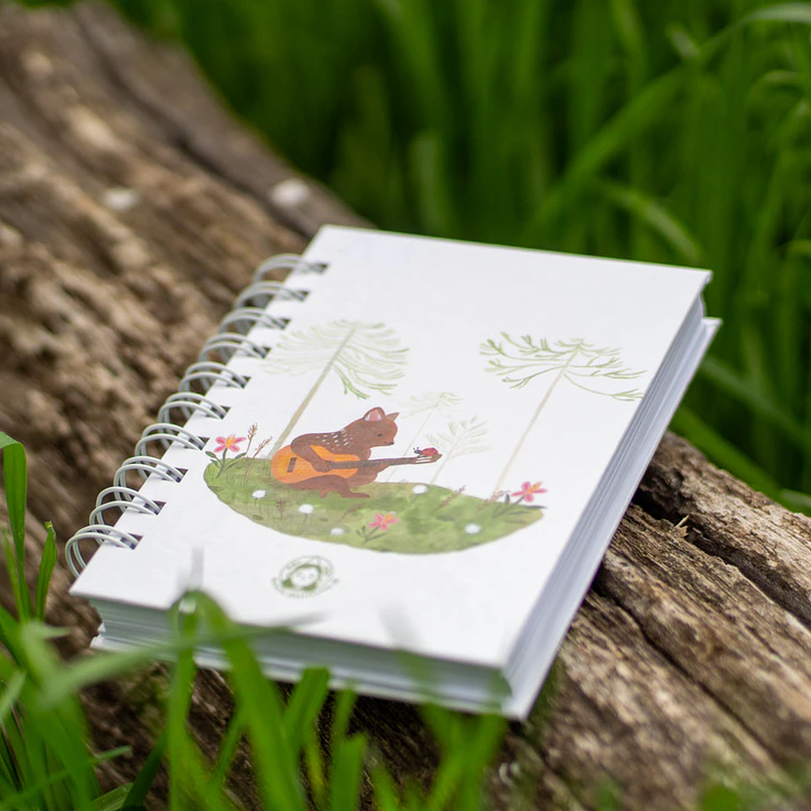 Cuadernos