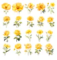 Pack 100 Flores Amarillas imprimibles - Miniatura 2