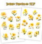 Pack 100 Flores Amarillas imprimibles - Miniatura 6