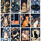 Pack láminas Gatitos Florales Nocturnos - Miniatura 7
