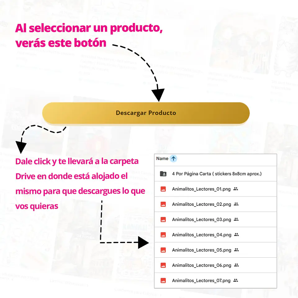 MEMBRESIA VIP - PASE 3 MESES 4