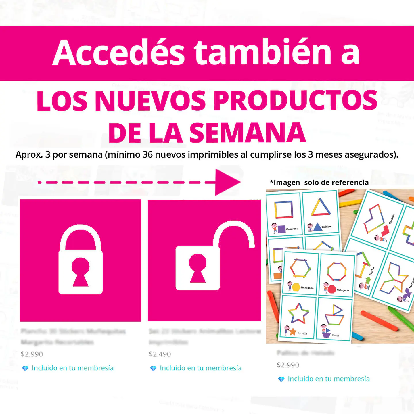 MEMBRESIA VIP - PASE 3 MESES 5