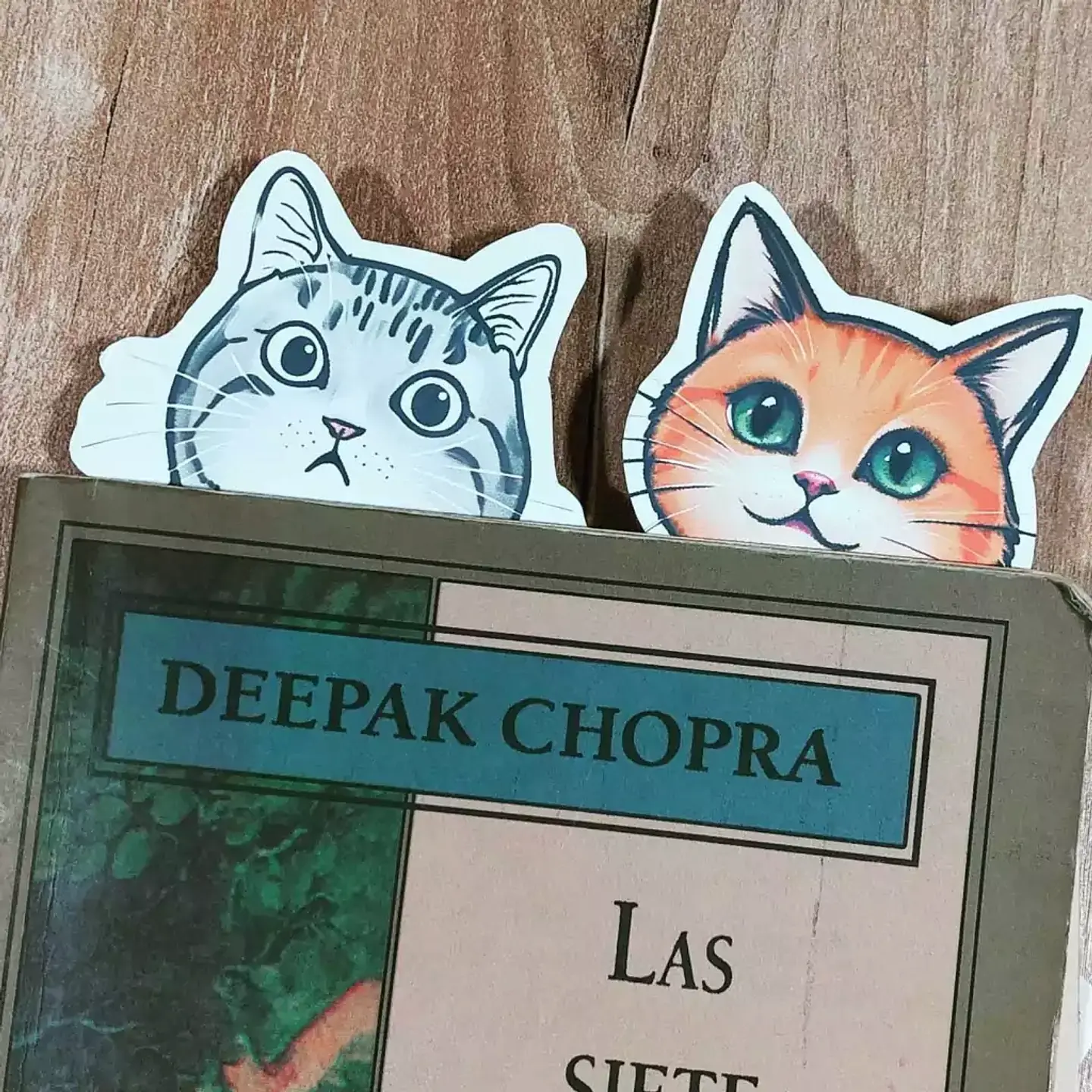 Set de 8 Marca-Páginas de Gatitos Imprimibles 2