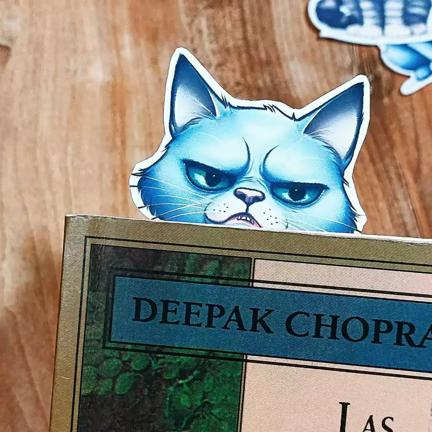 Set de 8 Marca-Páginas de Gatitos Imprimibles 3