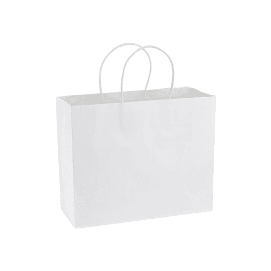 Bolsa de Papel 120g/m2 30 x 25 x 10 cm E103