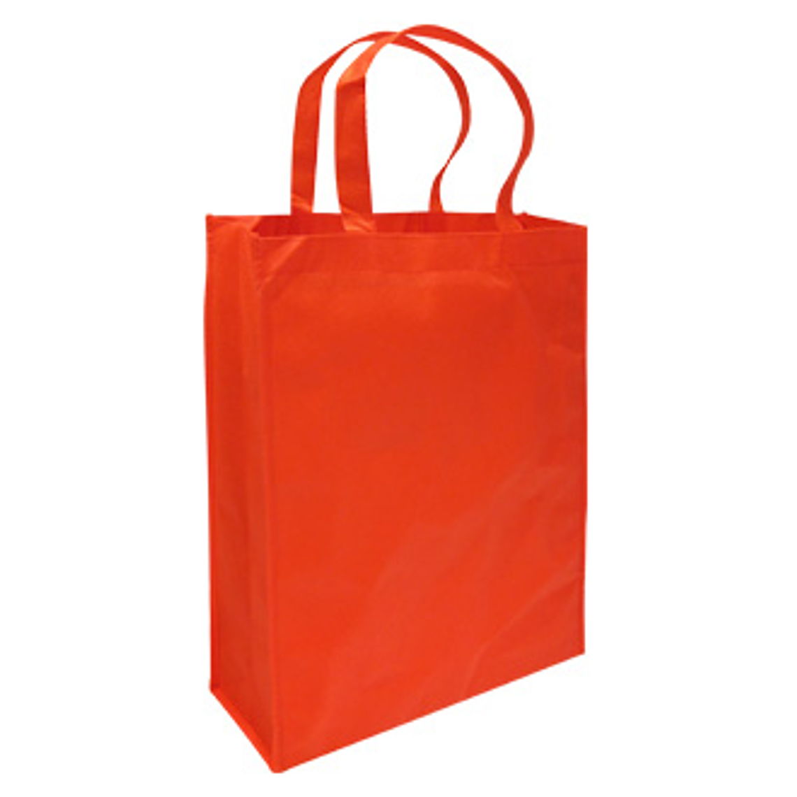 Bolsa Reutilizable Conference E5 30 x 38 x 8.5 cm 3