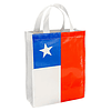 Bolsa TNT Bandera Chilena 25 x 30 x 8 cm.