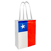 Bolsa TNT Bandera Chilena 30 x 40 x 12 cm.