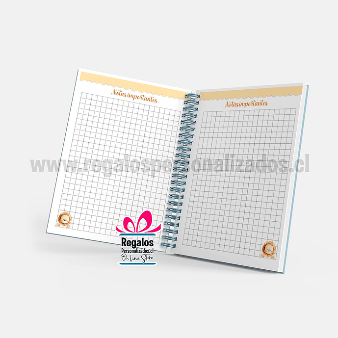 Agenda pediátrica diseño León 13
