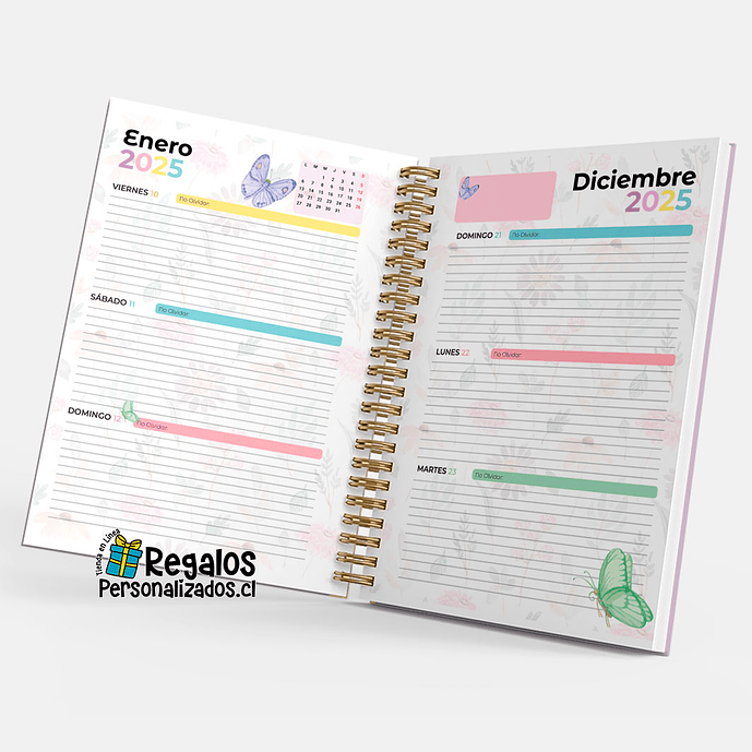 Agenda 2025 vuela alto diseño personalizado 6