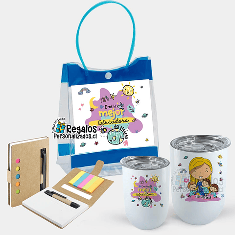 Pack 01 Técnico Educadora 