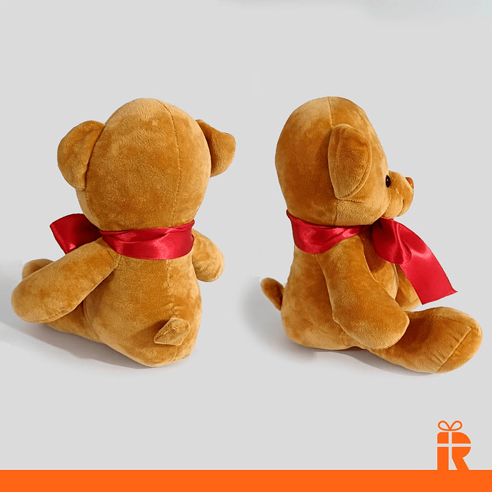 Peluche Osito 23cm personalizado 2