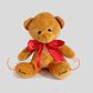 Peluche Oso 23cm | Personalizado con frase  en las patitas - Miniatura 1