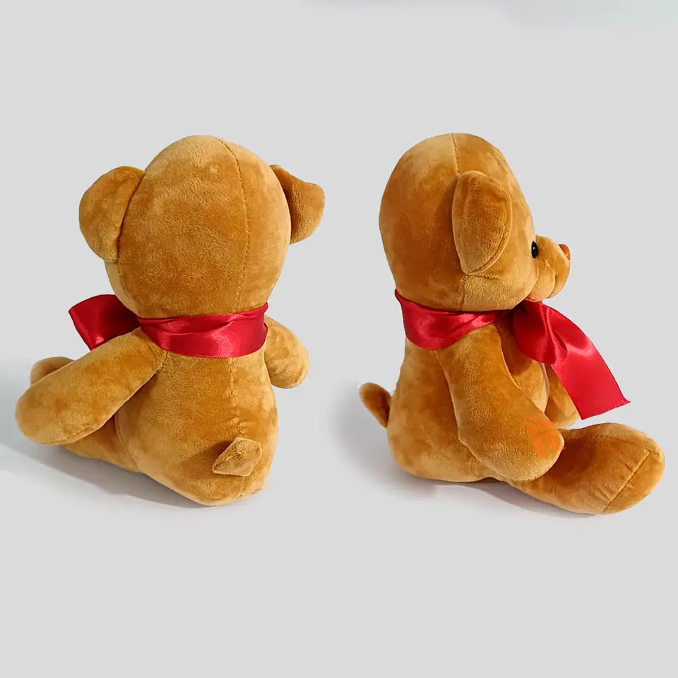 Peluche Oso 23cm | Personalizado con frase  en las patitas 2