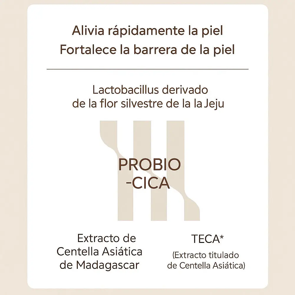 SKIN1004 Probio-Cica Enrich Cream 50ml | Crema Nutritiva y Reparadora 3