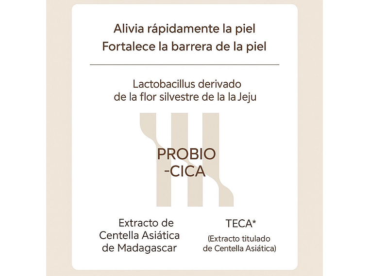 SKIN1004 | Crema Nutritiva Centella Probio-Cica Enrich - 50ml 3