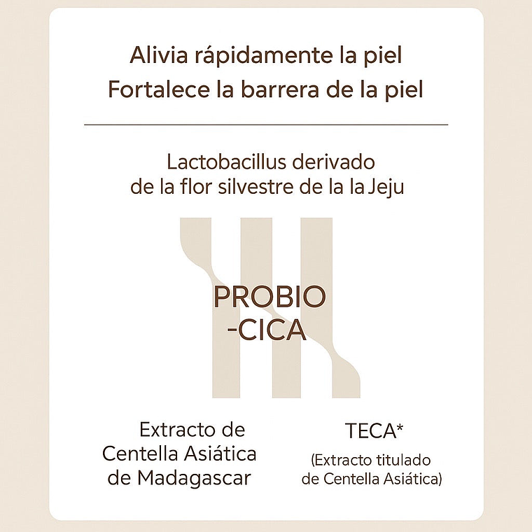 SKIN1004 | Crema Nutritiva Centella Probio-Cica Enrich - 50ml 3